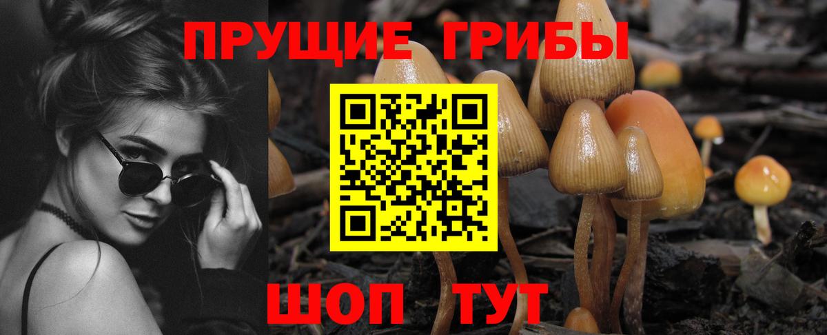Красногорск  хочу   Псилоцибиновые грибы ЛСД  Вход с VPN  Галлюциногенные грибы GOLDEN TEACHER 