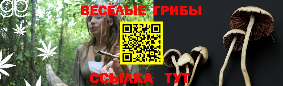 Псилоцибиновые грибы MAGIC MUSHROOMS Красногорск