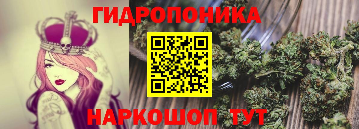 Конопля гибрид Красногорск